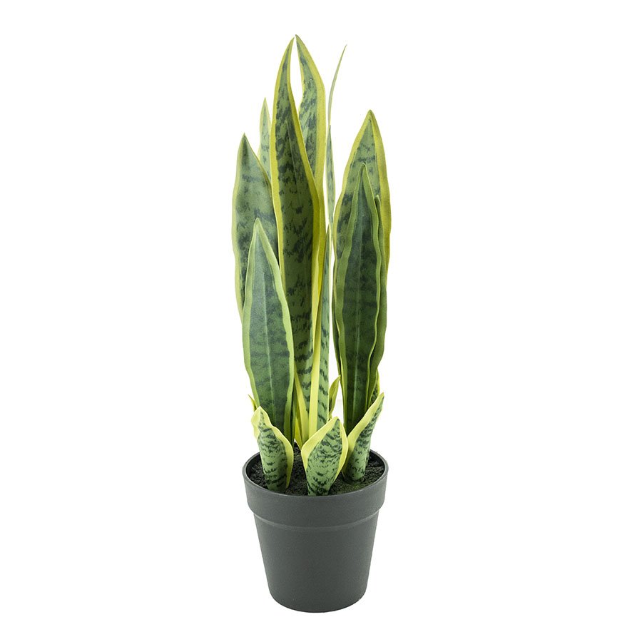 Kunstplant Sansevieria – klein