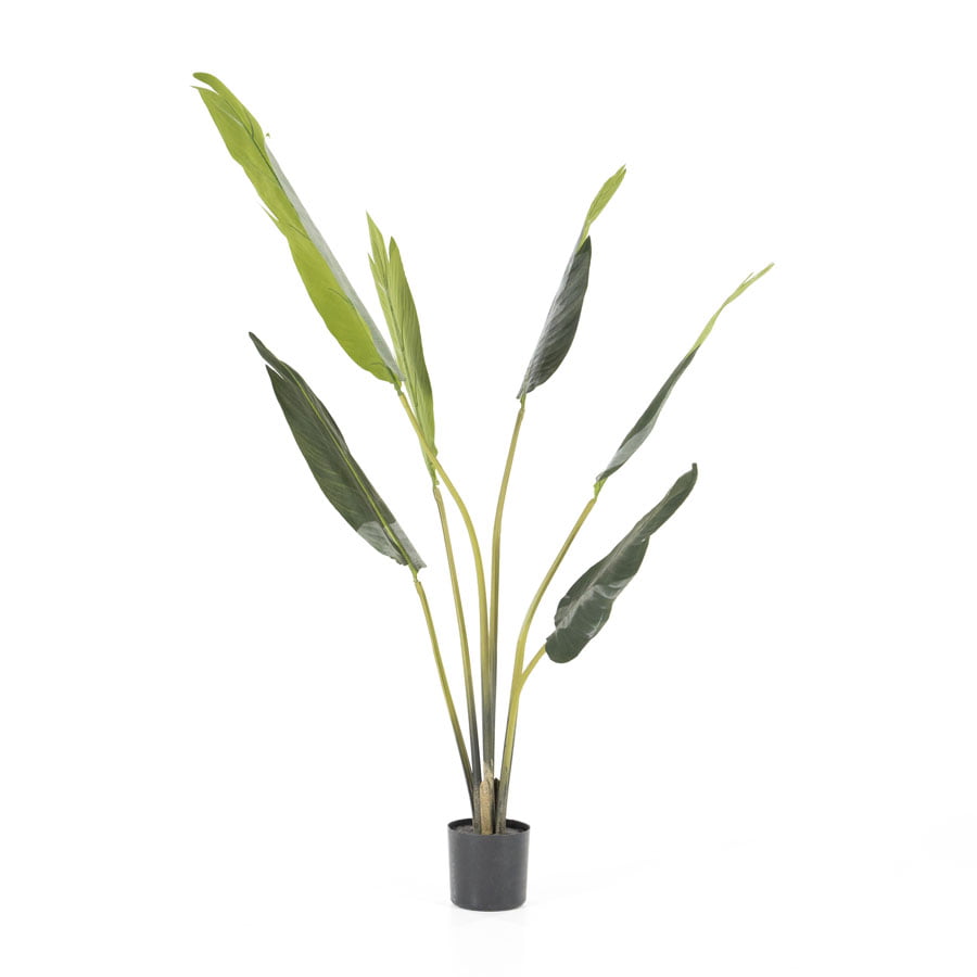 Kunstplant Strelitzia – klein