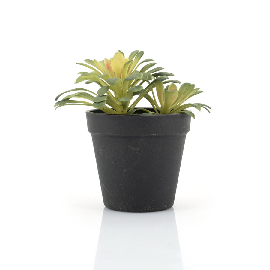 Kunstplant Succulent – 1