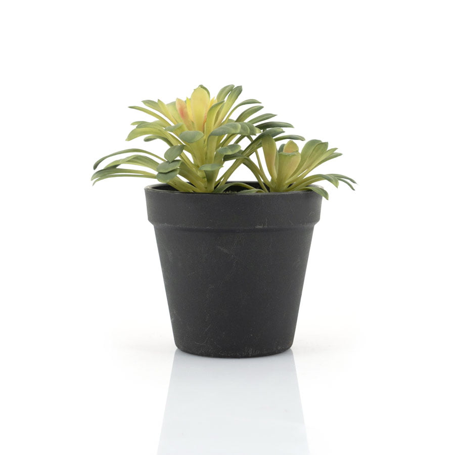 By-Boo-Kunstplant-Succulent-1