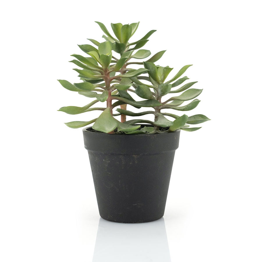Kunstplant Succulent – 3