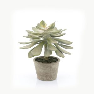 By-Boo-Kunstplant-Succulent-Echeveria