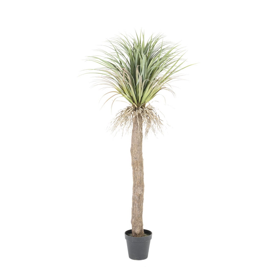 Kunstplant Wild Yucca tree – medium