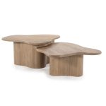 Salontafel Fall Set van 2 Organisch Naturel