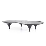 Salontafel Fay Organisch Zwart