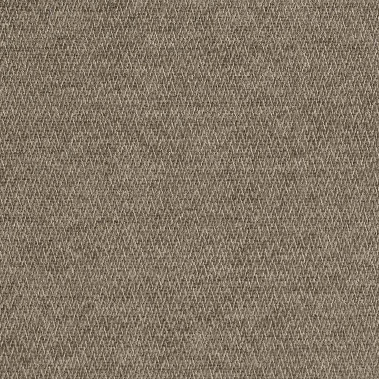 Bari Olive
