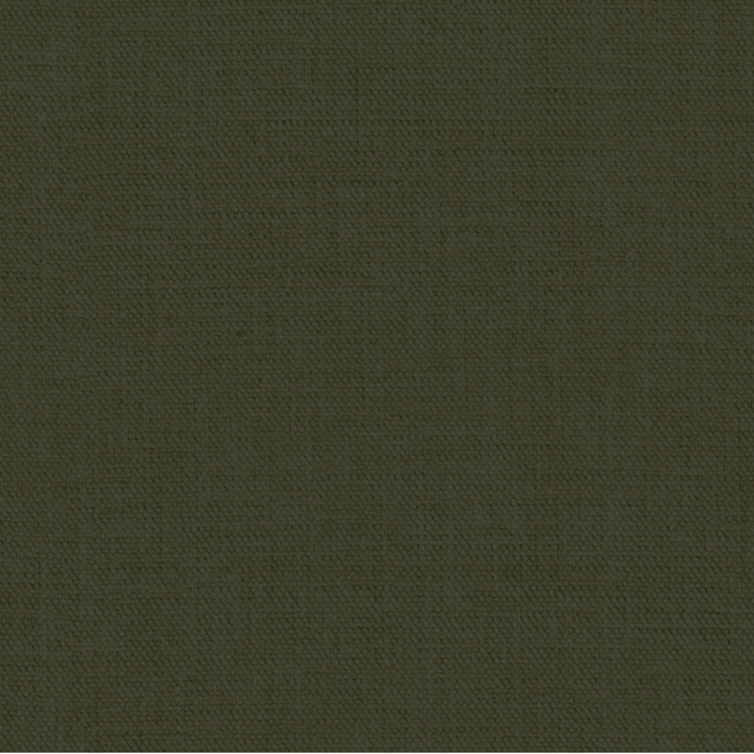 Crisp Olive 53